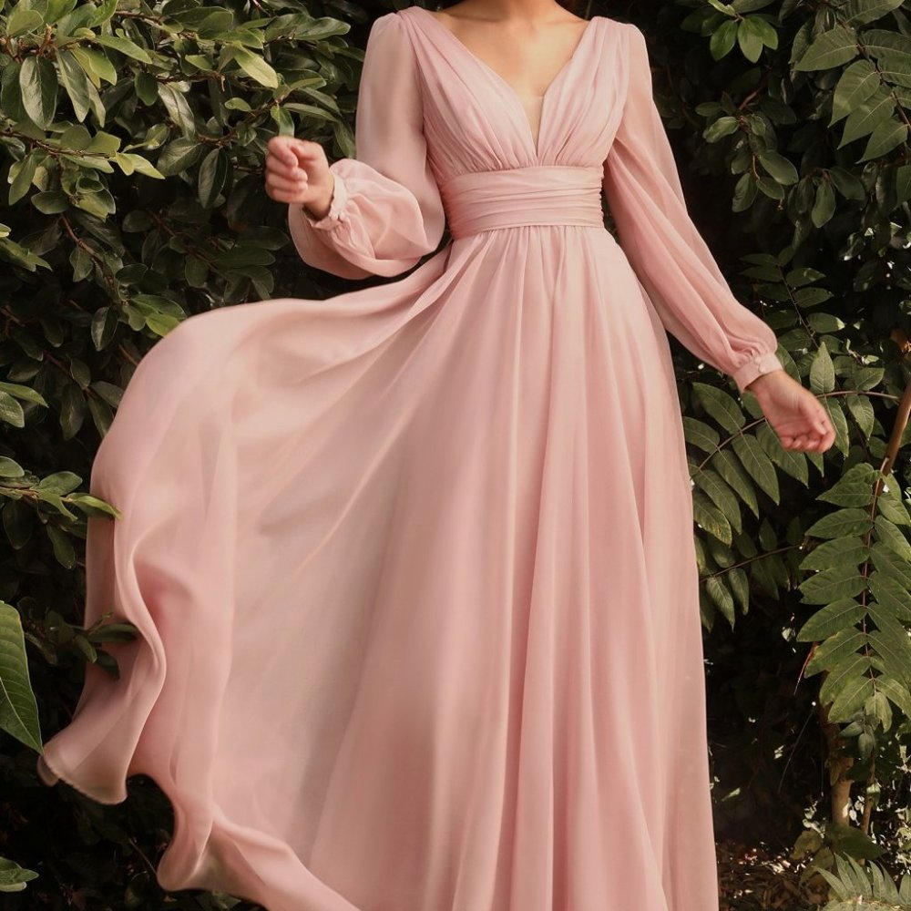 BLUSH MOTHER OF BRIDE EVENING PARTY A-LINE LONG SLEEVE CHIFFON DRESS CD0192